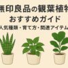 無印良品の観葉植物おすすめガイド｜人気種類・育て方・関連アイテム
