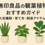 無印良品の観葉植物おすすめガイド｜人気種類・育て方・関連アイテム