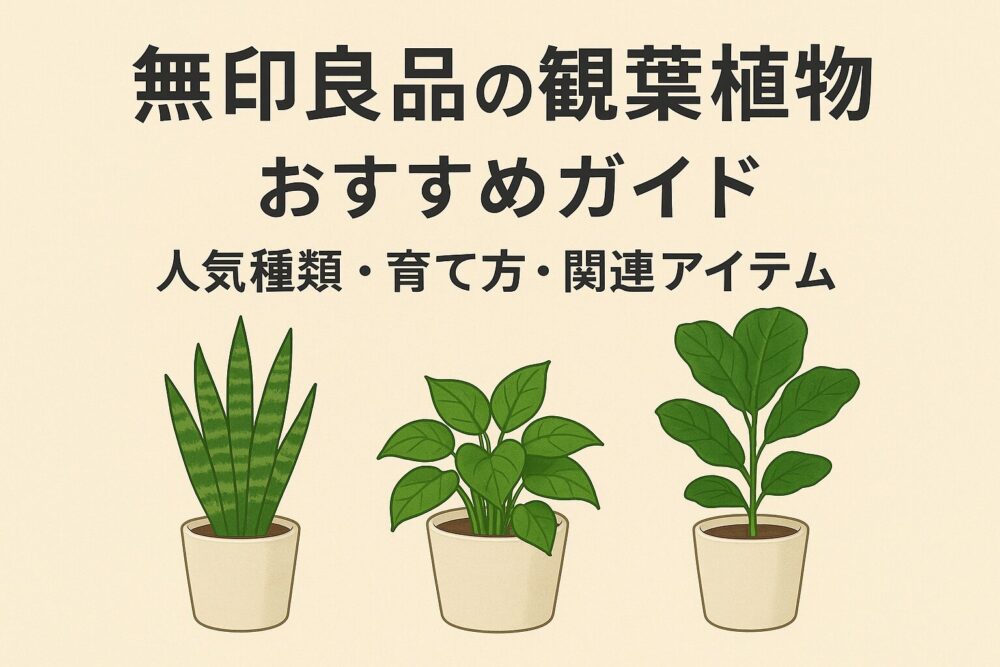 無印良品の観葉植物おすすめガイド｜人気種類・育て方・関連アイテム